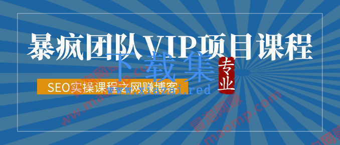 暴疯团队VIP赚钱项目教程之（SEO实操课程之网赚博客）