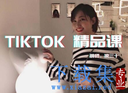 Tiktok精品实操课,单账号最高成绩210w粉丝，单条视频最高300w点赞