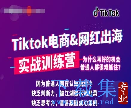 0基础学习抖音国际版TikTok海外短视频新手实战训练营【视频课】