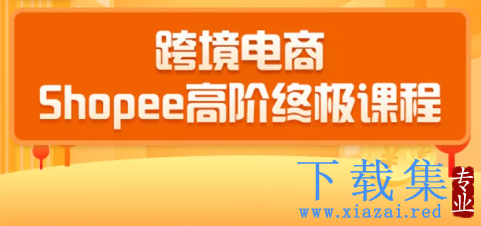 2020跨境电商蓝海新机会-SHOPEE大卖特训营：高阶终极课程（16节课）