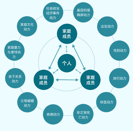 沈家宏·系统动力式家庭治疗入门课