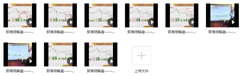 郭海培 抄底的风险与机会如何把握 视频课程 9视频