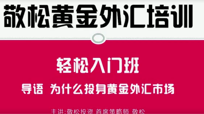 敬松投资黄金外汇培训 轻松入门班