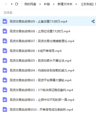 龙浩诚现货交易操作理念10讲 视频课程