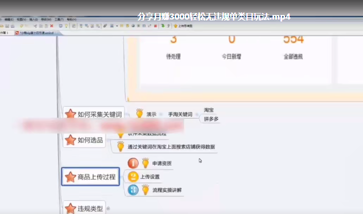 淘宝无货源店群无违规单类目玩法视频教程价值1380元