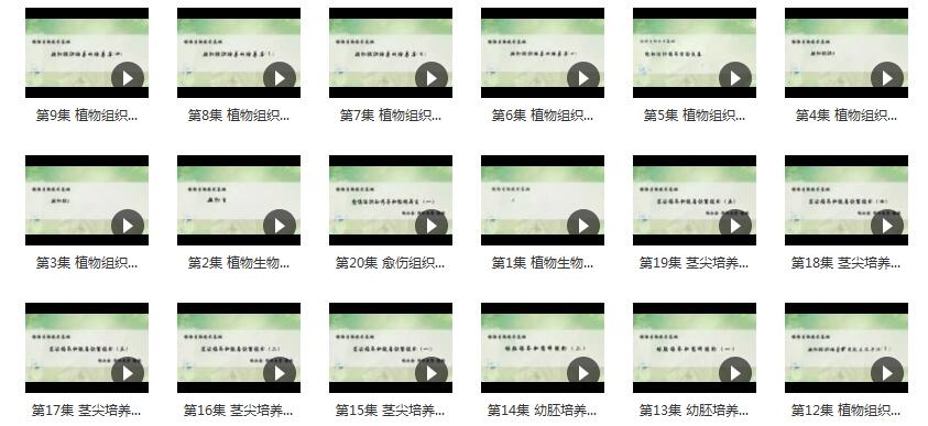《植物生物技术基础》全套教学视频（浙大 祝水金40集）