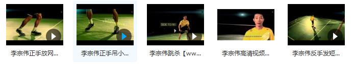 跟羽毛球冠军学羽毛球击球绝技视频合集（李宗伟 陶菲克）