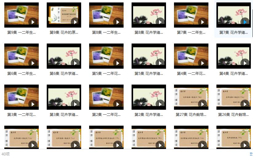 《花卉学》在线教学视频I+II合集(浙江大学 夏宜平40集)