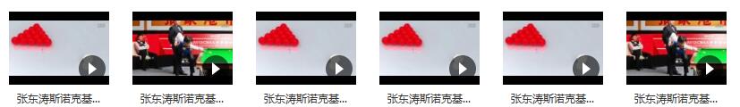 张东涛斯诺克入门基础教学视频(6节课)