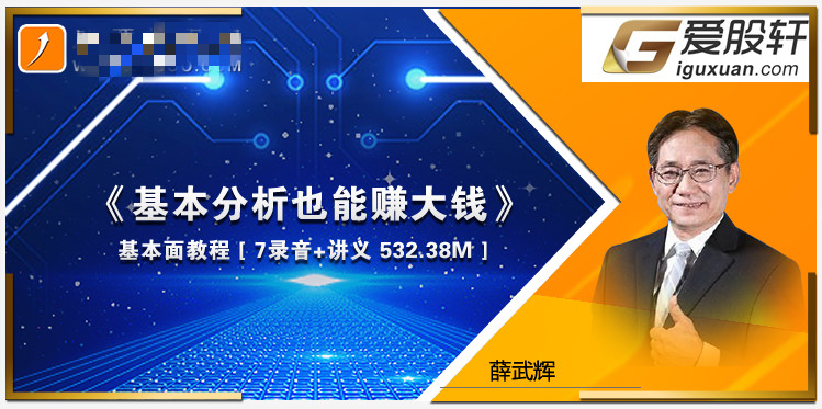 爱股轩薛武辉基本面教程-基本分析也能赚大钱 音频7个+讲义