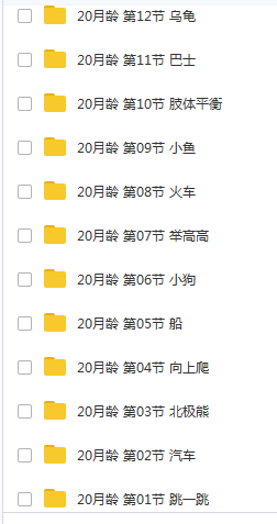 20个月宝宝早教游戏课程视频全套（56集）