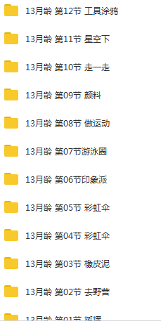 13个月宝宝早教训练方案课程视频全套（56集）