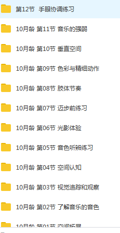 10个月宝宝早教训练课程视频全套（56集）