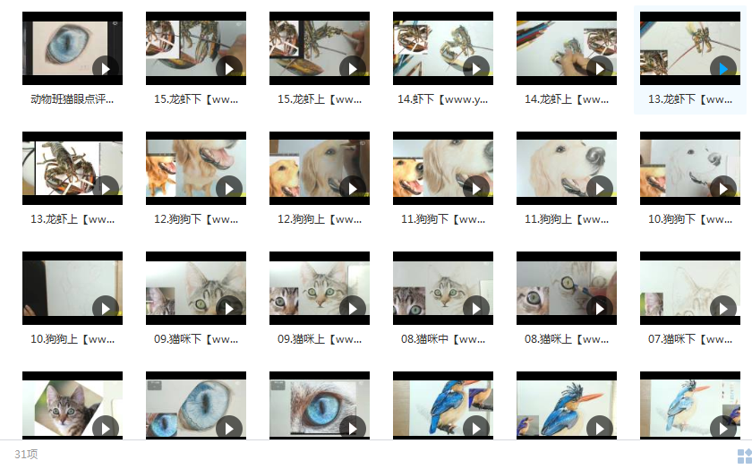 彩铅动物视频教程31讲_手绘动物教程_超写实的彩铅动物