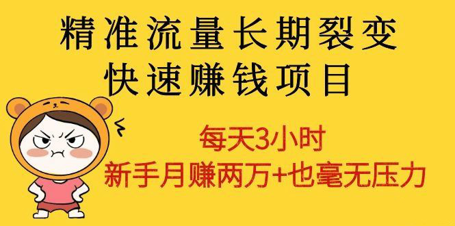 精准流量长期裂变快速赚钱项目：每天3小时 新手月赚两万+也毫无压力