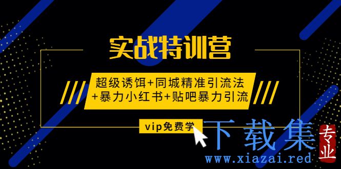 实战特训营:超级诱饵+同城精准引流法+暴力小红书+贴吧暴力引流（视频课程）