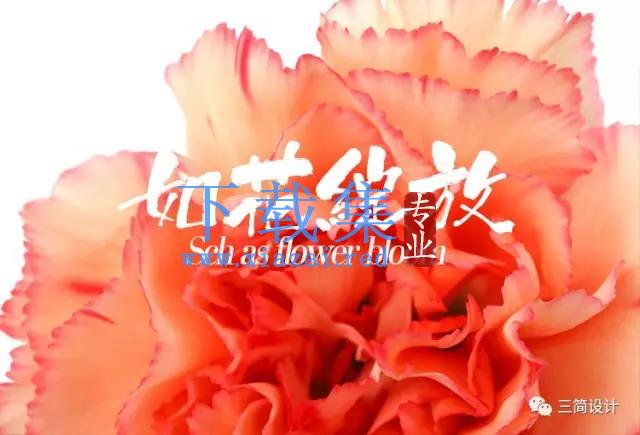 【精选字体】-如花绽放书法毛笔字体复古文艺