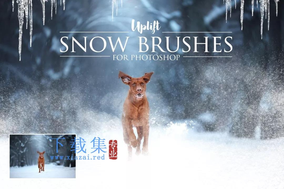 冬季雪景雪花人像合成修饰PS笔刷