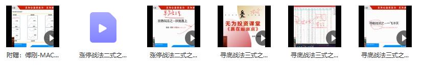 无为学院2021年傅刚《赢在起涨点》-寻底涨停战法视频课程 龙头领牛股实战