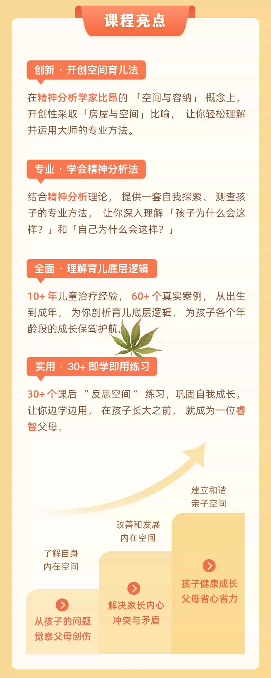 育儿30讲：激活父母内在空间，成就自带光芒的孩子