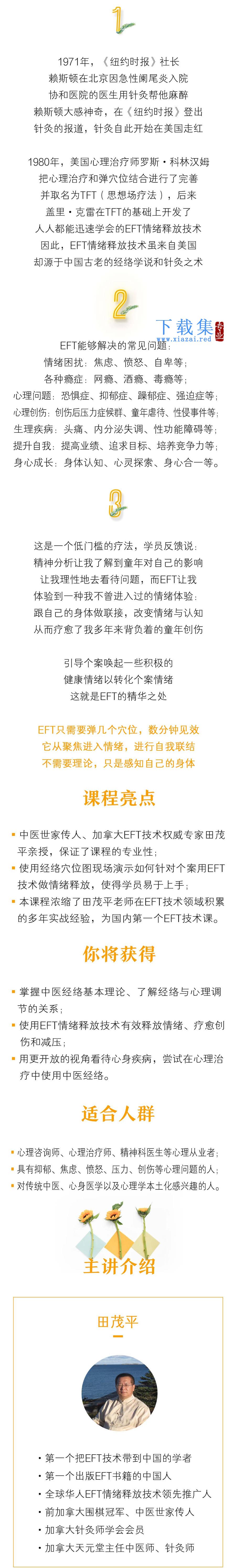 田茂平：中医经络理论和EFT情绪释放技术10讲