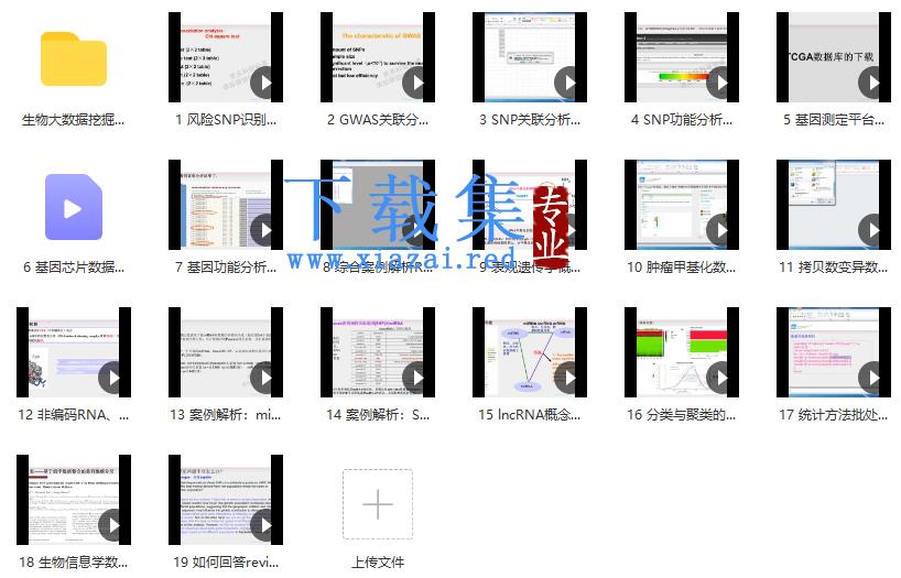 生物信息学案例分析进阶课程