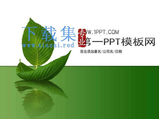 简洁树叶背景植物PPT模板下载