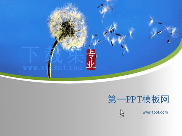 飞翔的蒲公英经典PPT模板下载