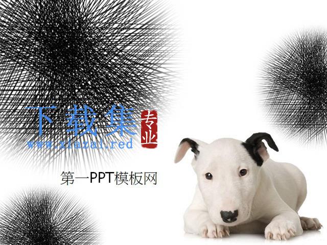 可爱的斑点狗背景PPT模板下载