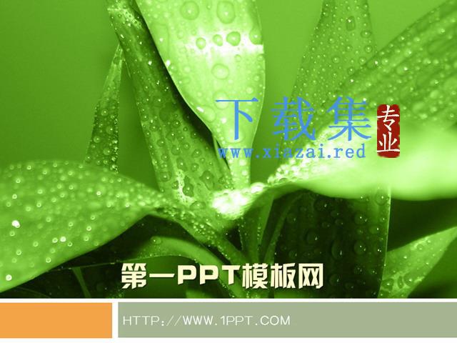 绿色植物背景PPT模板下载