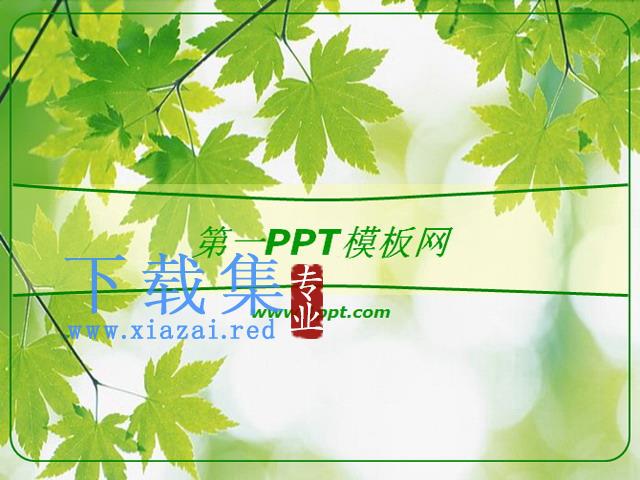 绿色枫叶背景PPT模板下载