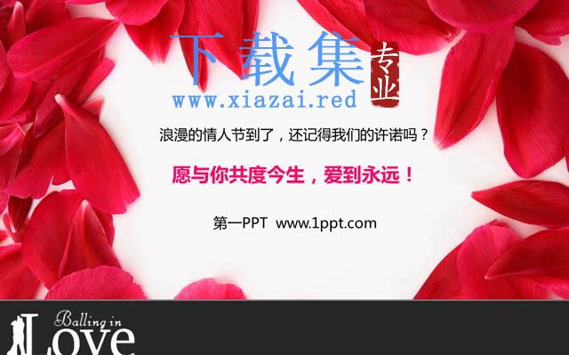 玫瑰花瓣背景情人节PPT模板下载