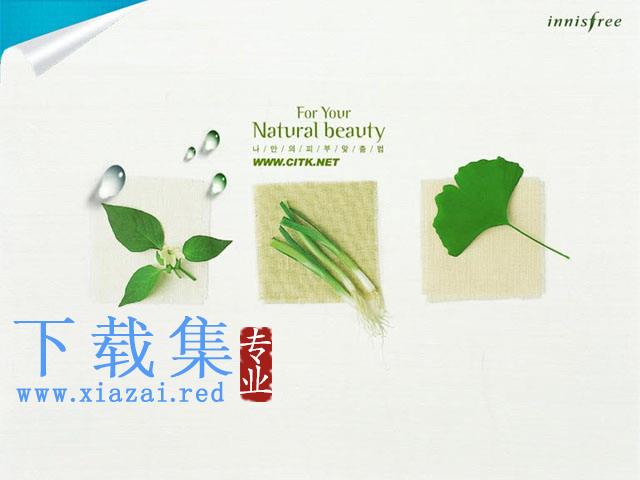 蔬菜植物背景的韩国PPT模板下载