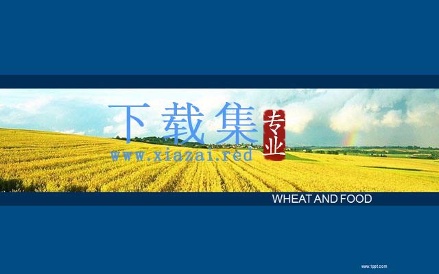 麦田背景的商务PPT模板下载