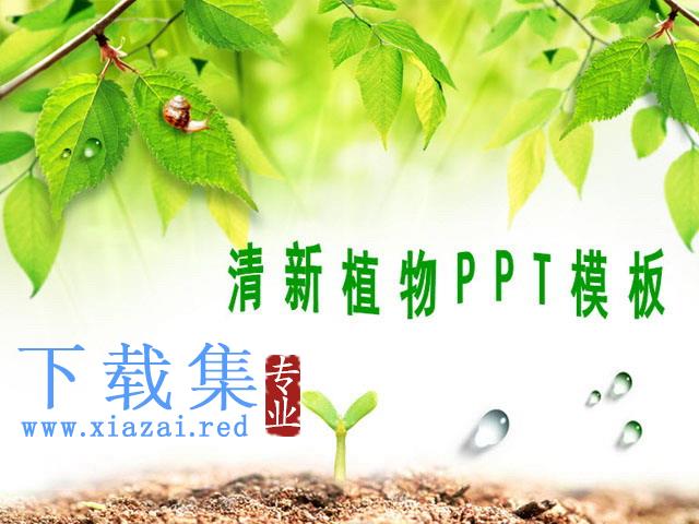 清新的树叶背景PPT模板下载