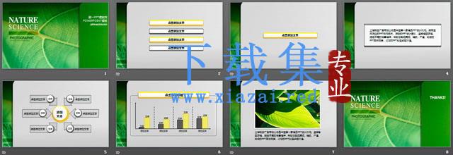 生命的绿色 绿色植物PowerPoint模板 第2张 生命的绿色 绿色植物PowerPoint模板 第2张