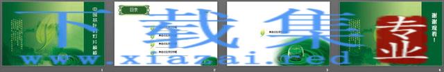 中国绿茶背景PowerPoint模板下载 第2张 中国绿茶背景PowerPoint模板下载 第2张