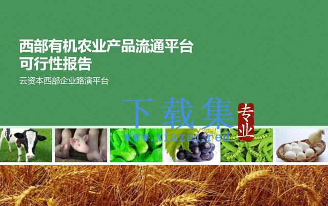 农业产品流通平台分析报告PPT下载 第1张 农业产品流通平台分析报告PPT下载 第1张