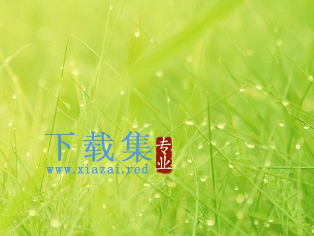 嫩绿的小草PowerPoint背景图片 第1张 嫩绿的小草PowerPoint背景图片 第1张