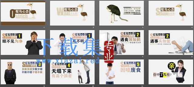 《鸵鸟心态》PPT下载 第2张 《鸵鸟心态》PPT下载 第2张