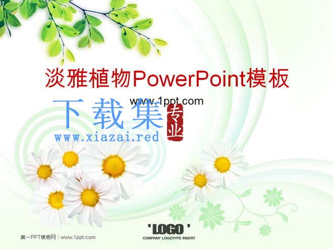 淡雅菊花茶树背景植物PowerPoint模板下载