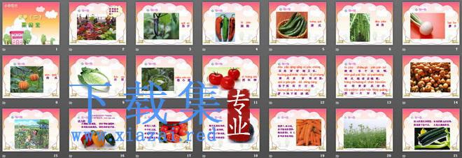 《菜园里》PPT课件2 第2张 《菜园里》PPT课件2 第2张