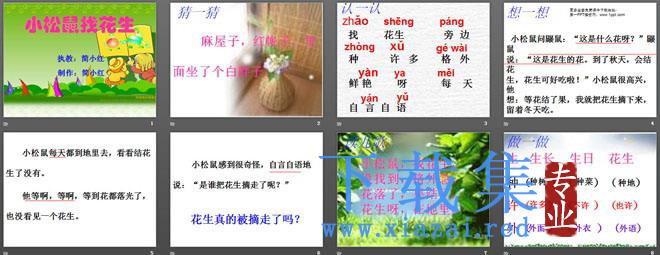 《小松鼠找花生》PPT课件 第2张 《小松鼠找花生》PPT课件 第2张