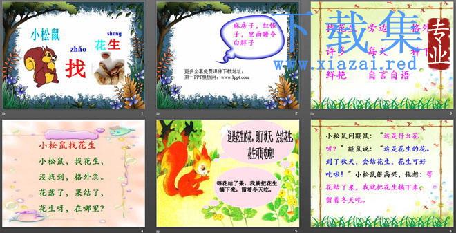 《小松鼠找花生》PPT课件3 第2张 《小松鼠找花生》PPT课件3 第2张