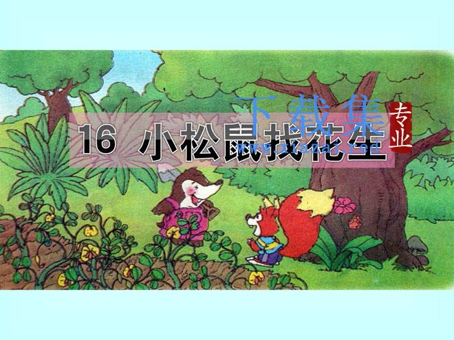 《小松鼠找花生》PPT课件4