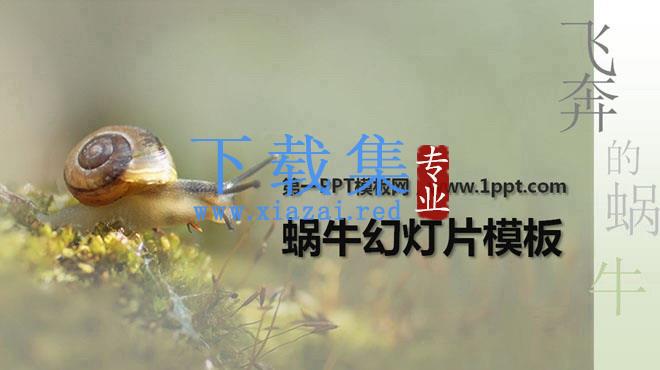 清新淡雅的蜗牛PowerPoint模板下载 第1张 清新淡雅的蜗牛PowerPoint模板下载 第1张