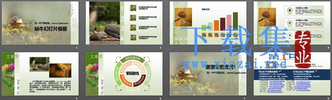 清新淡雅的蜗牛PowerPoint模板下载 第2张 清新淡雅的蜗牛PowerPoint模板下载 第2张