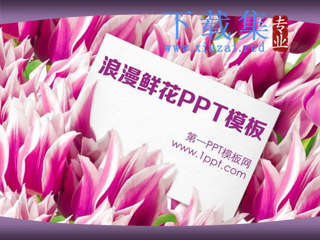 浪漫郁金香背景的爱情PowerPoint模板 第1张 浪漫郁金香背景的爱情PowerPoint模板 第1张
