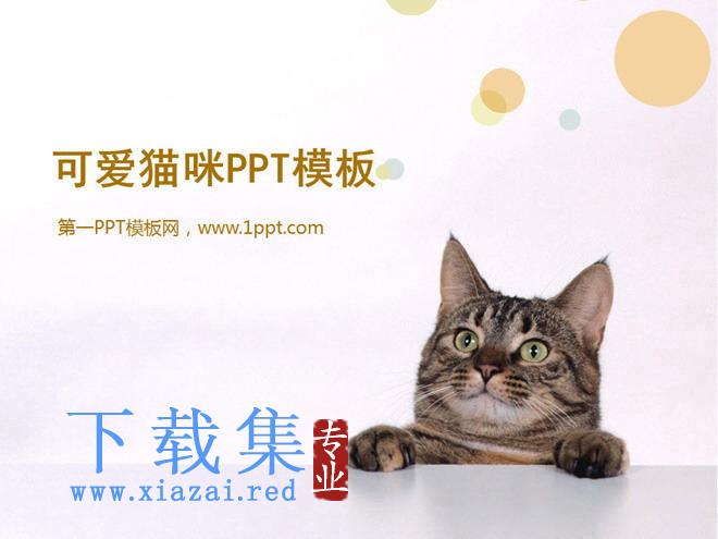 可爱猫咪幻灯片模板下载