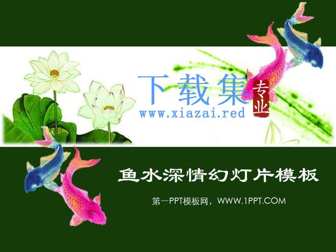 鲤鱼荷花背景的中国风幻灯片模板下载